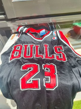 Camiseta Jordan Bulls 23 Retro. Original USA