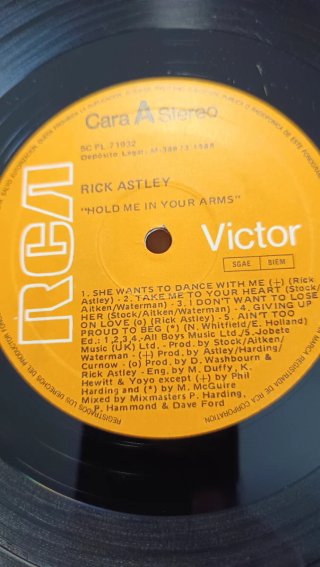 Vinilo Rick Astley - Hold Me In Your Arms (1988)