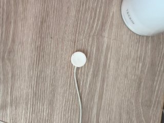 Apple Watch Series 3 Beige/Gris