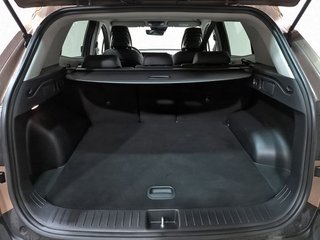 Kia Sportage 1.6 T-GDi MHEV 180CV Tech 4x4 DCT