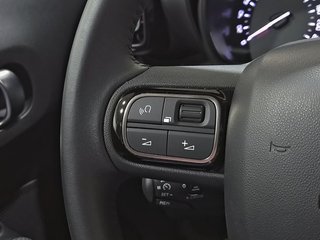 Citroën C3 Aircross BlueHDi 81kW (110CV) S&S C-Series