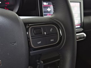 Citroën C3 Aircross BlueHDi 81kW (110CV) S&S C-Series
