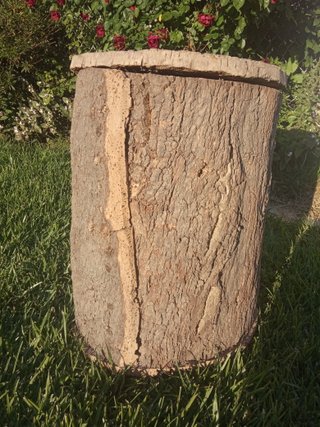 Colmena antigua de corcho procedente de Galicia