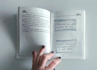 La rosa de los hielos