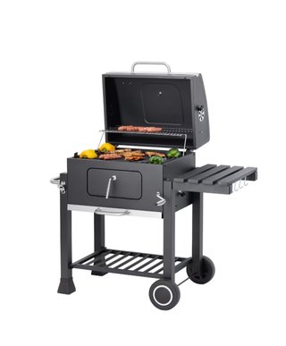 Barbacoa de carbón