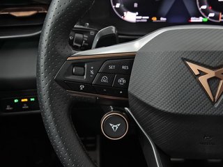 Cupra Terramar 1.5 TSI e-Hybrid 150kW (204 CV) DSG
