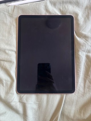 iPad Air 4ª Gen Wi-Fi-Cellular Rosa + apple pencil