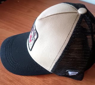 Gorra TAZ Warner Bros Demonio de Tasmania