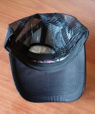 Gorra TAZ Warner Bros Demonio de Tasmania