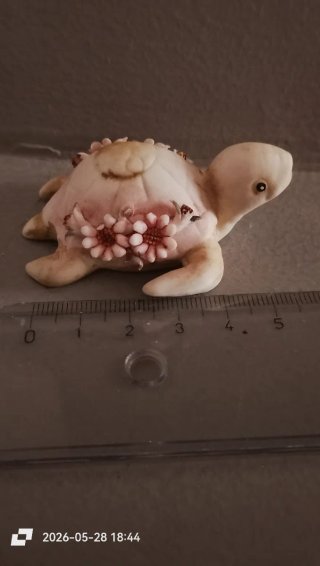 Tartaruga portafortuna decorativa