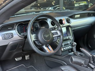 Ford Mustang 5.0 Ti-VCT V8 331KW Mustang GT (fast)