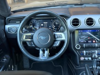 Ford Mustang 5.0 Ti-VCT V8 331KW Mustang GT (fast)