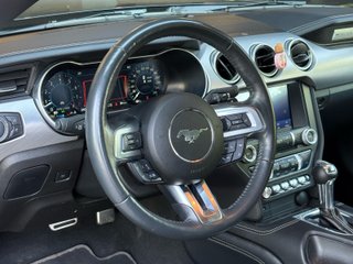 Ford Mustang 5.0 Ti-VCT V8 331KW Mustang GT (fast)