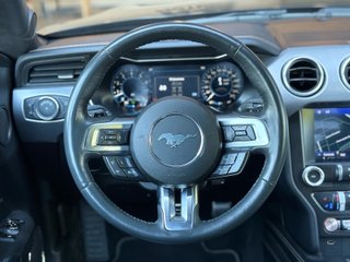 Ford Mustang 5.0 Ti-VCT V8 331KW Mustang GT (fast)