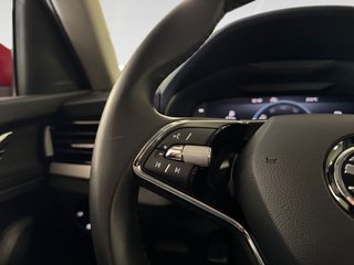 Skoda Kamiq 1.0 TSI 81kW (110CV) DSG Ambition