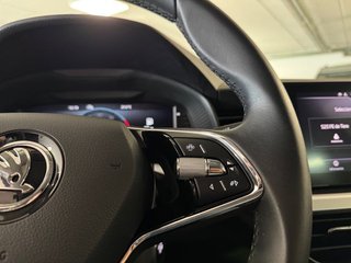 Skoda Kamiq 1.0 TSI 81kW (110CV) DSG Ambition