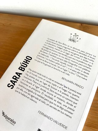 Libro Y yo a ti - Sara Búho
