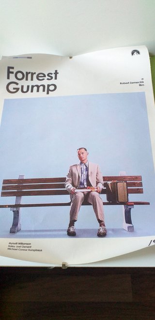 Lienzo película Forrest Gump 30 x 40 con marco