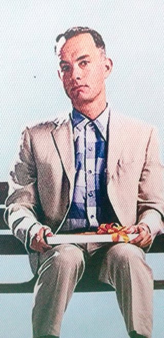 Lienzo película Forrest Gump 30 x 40 con marco