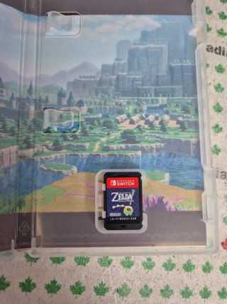 The Legend of Zelda: Echoes of Wisdom Switch