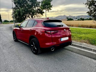 Alfa Romeo Stelvio Jtdm Nacional Libro