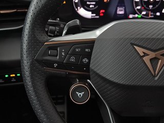 Cupra Terramar 1.5 eTSI 110kW (150 CV) DSG
