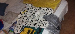 Disfraz varios para niños