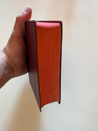 Nuevo testamento Griego y Latin