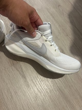 Nike Air Pegasus Special edition 43