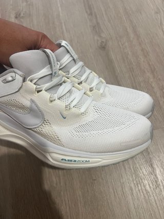 Nike Air Pegasus Special edition 43