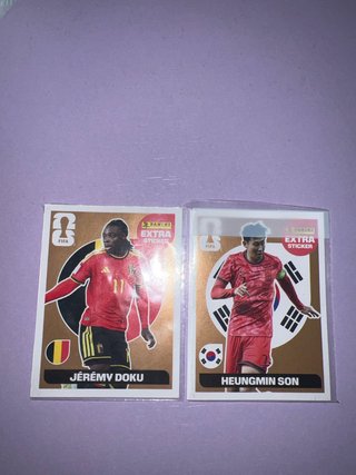 Cromo Mundial Panini Extra Sticker