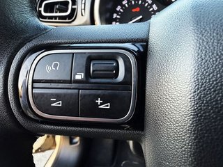 Citroën C3 BlueHDi 100 S&S Feel