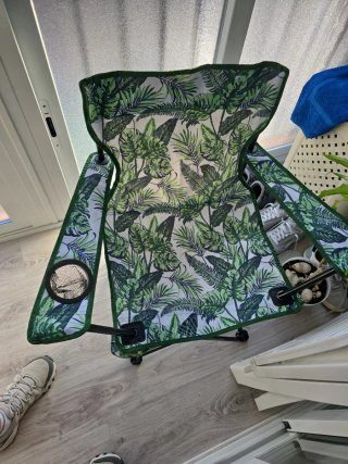 Silla Camping para la bienvenida del papá león