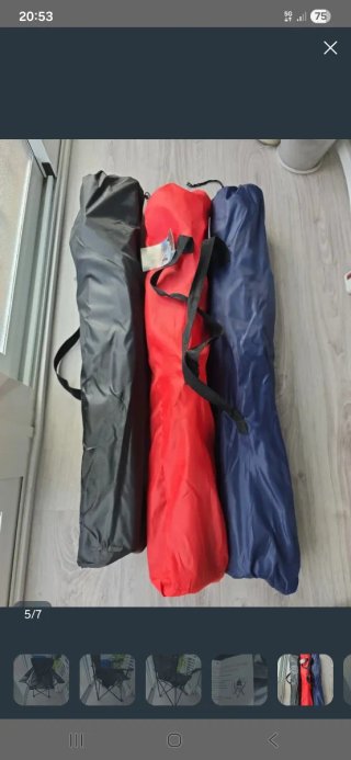 Silla Camping para la bienvenida del papá león