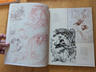 Frazetta Sketchbook (vol I)