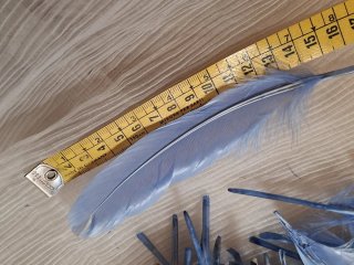 Lote 15 Plumas Decorativas Azul Claro