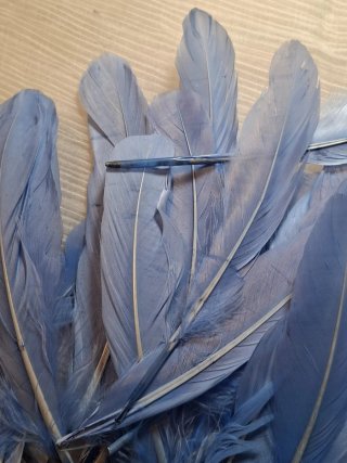 Lote 15 Plumas Decorativas Azul Claro