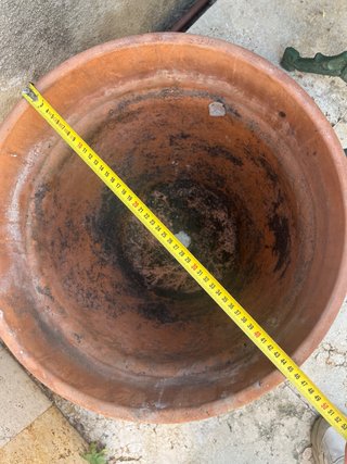 Maceta de barro grande