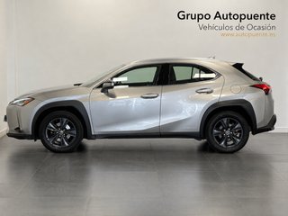 Lexus UX 250H Business