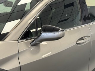 Lexus UX 250H Business