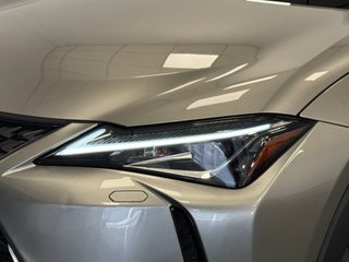 Lexus UX 250H Business