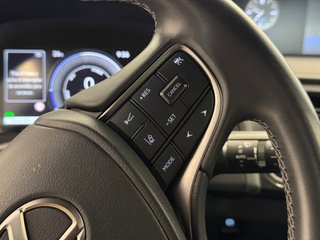 Lexus UX 250H Business