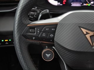 Cupra Terramar 1.5 eTSI 110kW (150 CV) DSG