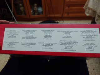 Lata Pokeball Pokemon TCG Inglés