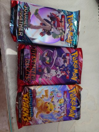 Lata Pokeball Pokemon TCG Inglés