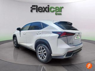 Lexus NX 2.5 300h Executive Navigation