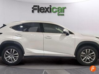 Lexus NX 2.5 300h Executive Navigation