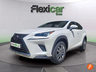 Lexus NX 2.5 300h Executive Navigation