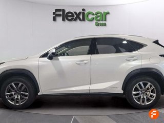Lexus NX 2.5 300h Executive Navigation