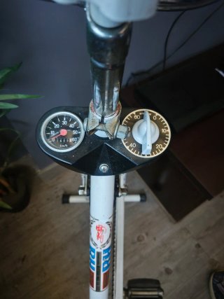 Vintage Bicicleta Estática BH Antigua